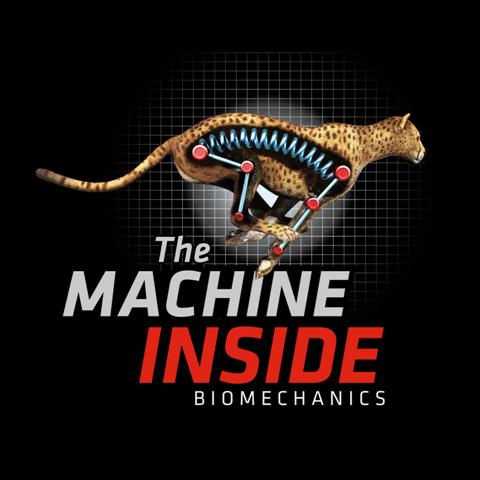 Biomechanics Identity - Black (Small)