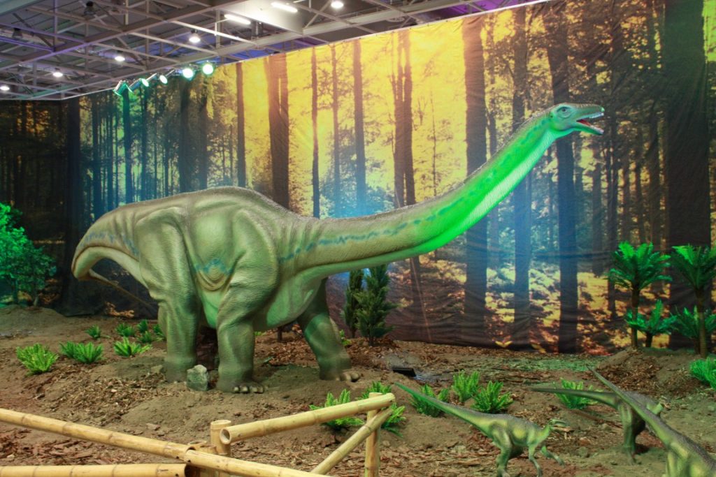 S APATOSAURUS (Medium)