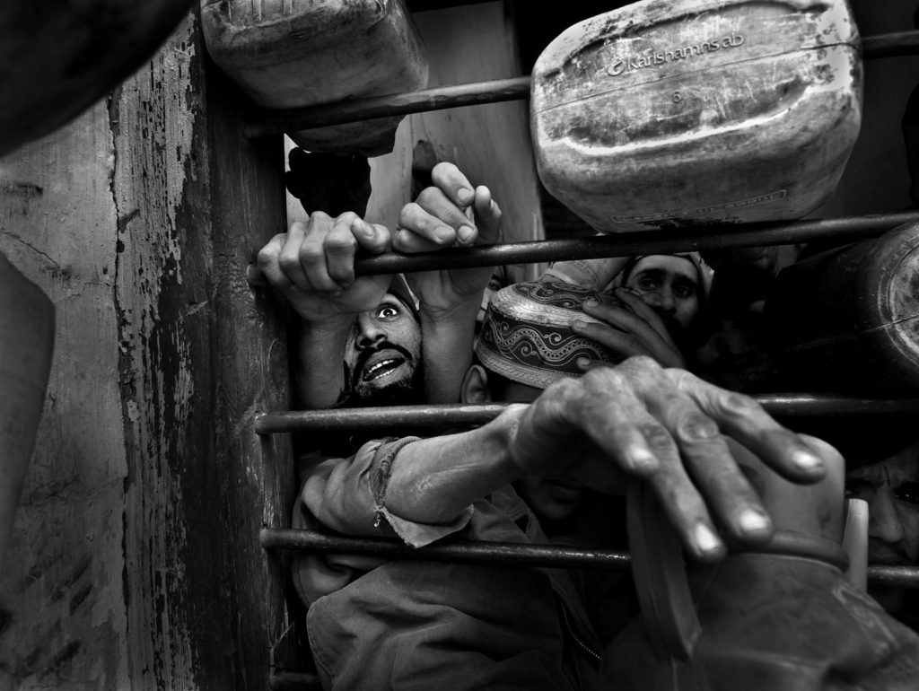 Фото: BarbaraDavidson