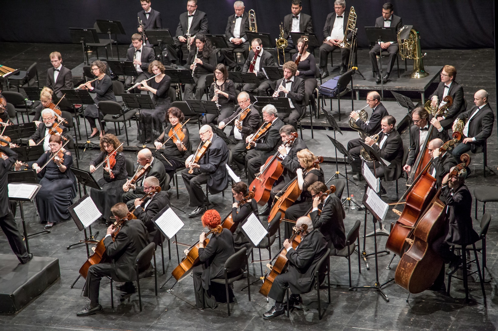 Ашдодский Симфонический оркестр. Фото: Марк Зеликовский