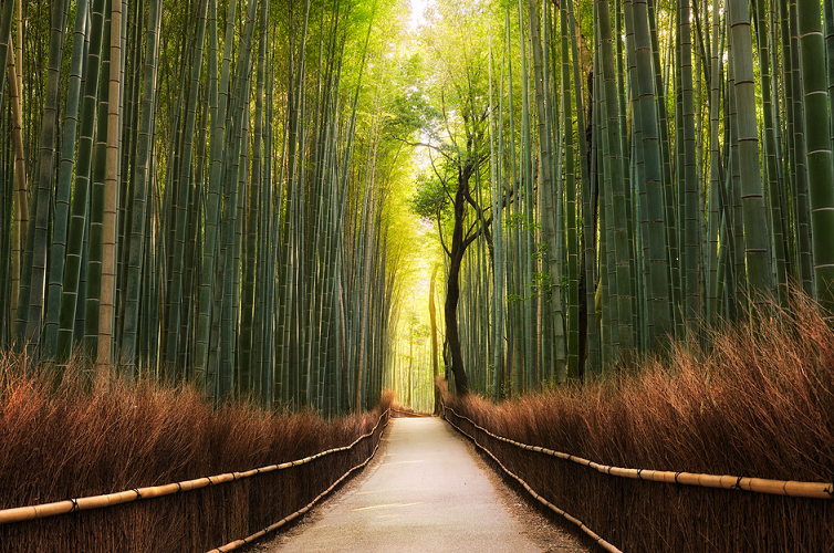 Фото: Элия Локарди