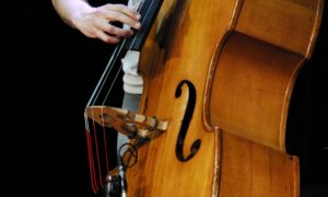 Фото: Даниэль Заман