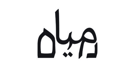 Работа Лирон Лави-Туркенич. "Араврит"