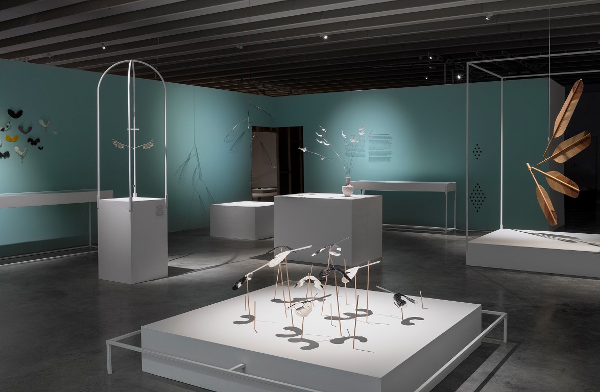 Balancing Act, Reddish. Image Credit - Elad Sarig