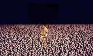 "Гвоздики" театра танца Пины Бауш. Фото - © Alex Gouliaev