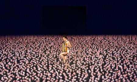 "Гвоздики" театра танца Пины Бауш. Фото - © Alex Gouliaev