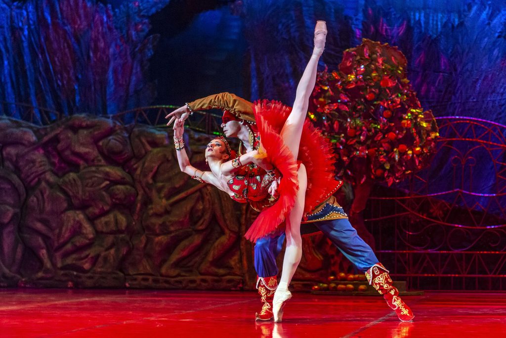 "Жар-Птица". Photo  © Oren Cohen - www.pinecohen.com