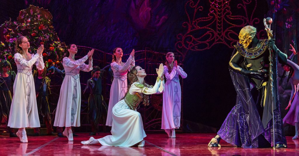 "Жар-Птица". Photo  © Oren Cohen - www.pinecohen.com