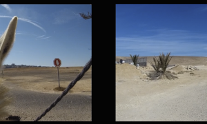 סטילס מתוך וידאו קרדיט צילום דן פרבדוף