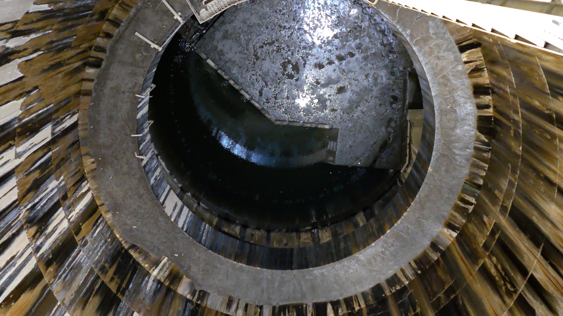 Эяль Сегаль. "Левиафан" - LOKO GALLERY אייל סגל- צילום באדיבות