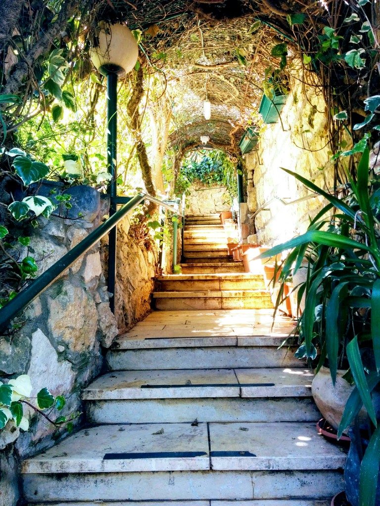 פסטיבל ישראל-מוזיקה-עדן תמיר צילום אלכס תמיר