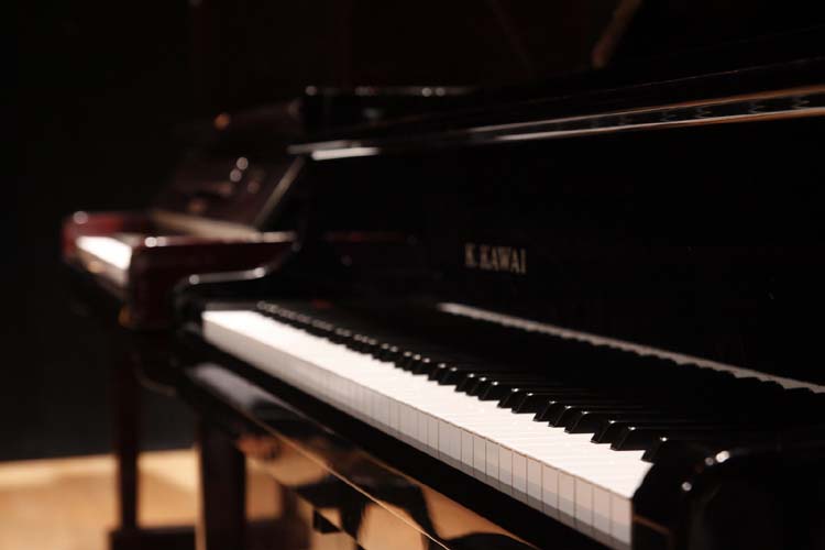 Фото - Лимор Эдри