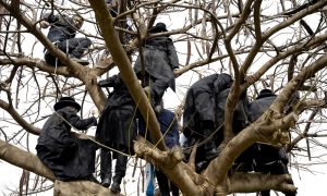 עדות מקומית איתי רון