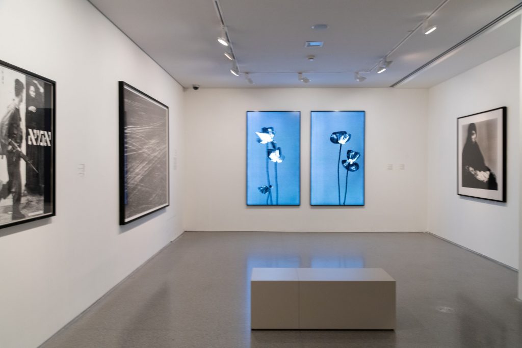 Постоянная экспозиция израильского искусства в Музее Израиля в Иерусалиме. 2025. Photo © The Israel Museum, Jerusalem, by Elie Posner