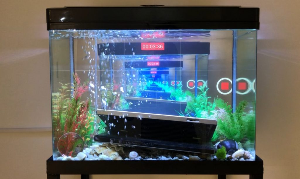 How To Enjoy Nature (go outside), פריים מתוך וידאו, צילום - נטע מוזס_2