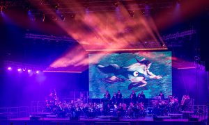 Harry’s Magic Symphony -photo © Jevgenijs Luhnevs