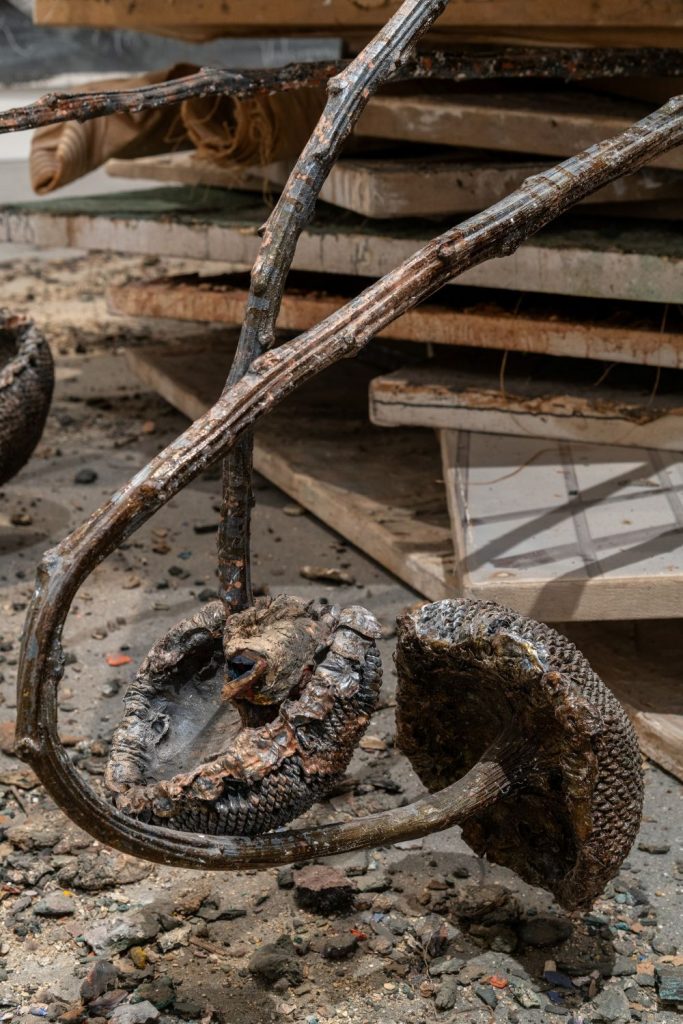 Фото - © Эли Познер