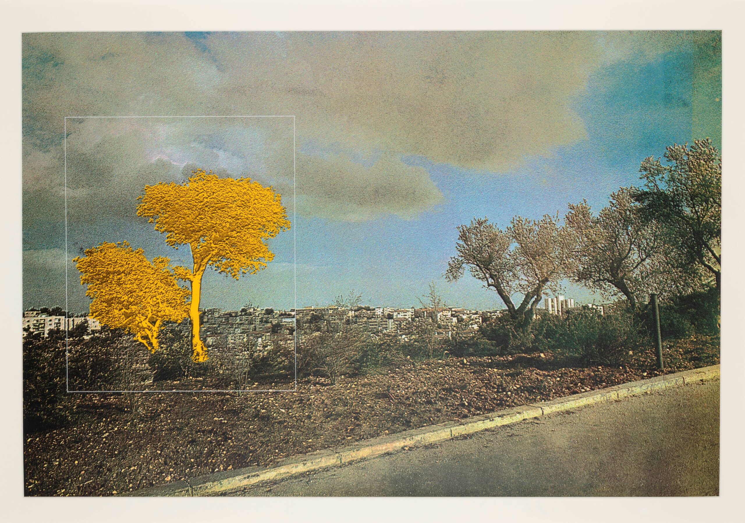 Menashe Kadishman. Yellow Tree, 1974 Silkscreen on paper, 61 x 91 cm Gift of the artist Photo: © The Israel Museum, Jerusalem, by Elie Posner